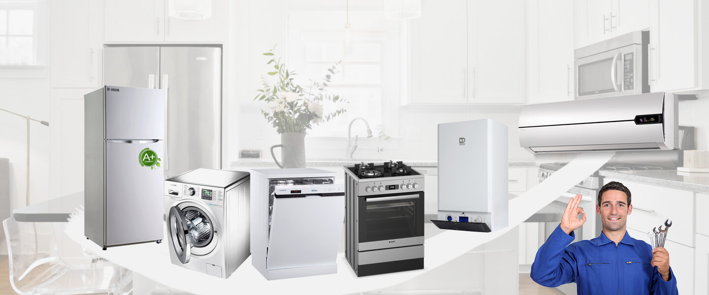 Altıntaş Electrolux Servisi